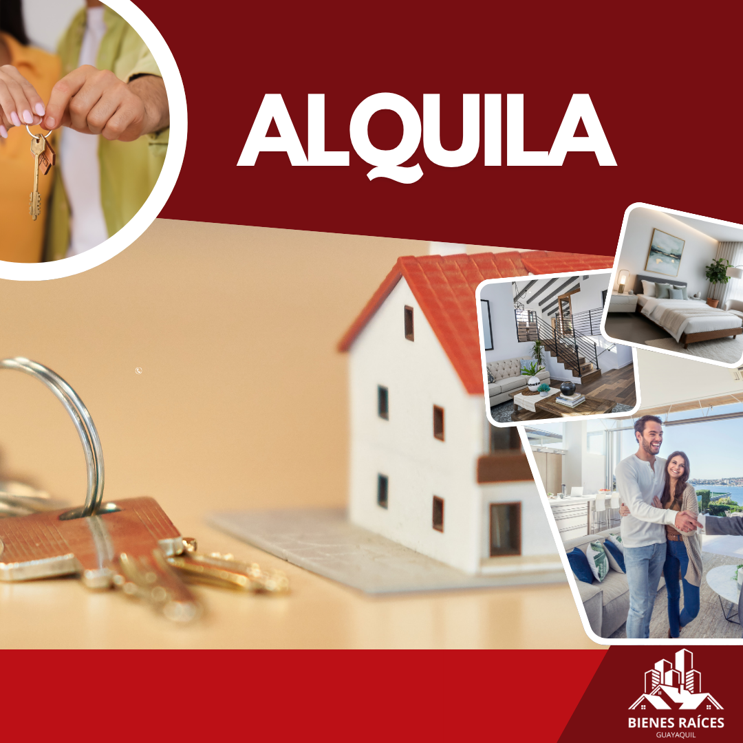 Alquila